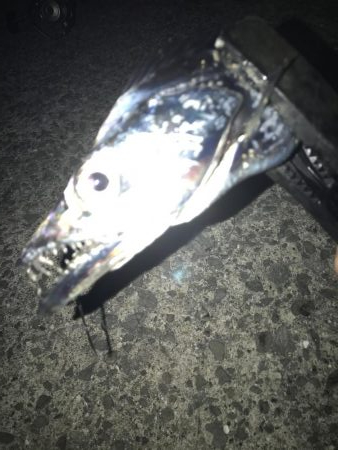 シーズン初のマルチヒット