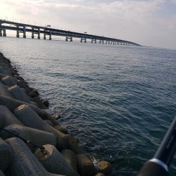 メジロのボイル発生してました❗