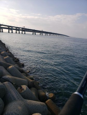 メジロのボイル発生してました❗