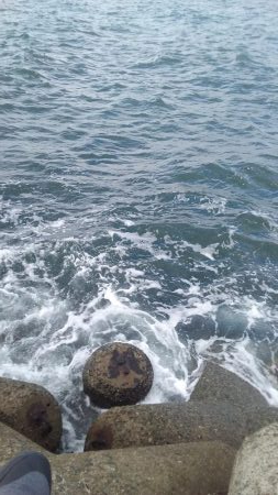 サゴッシング２