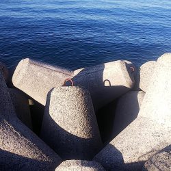 なんとか釣れました