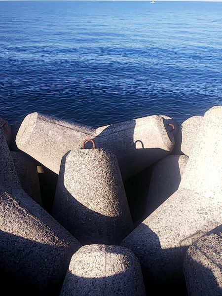 なんとか釣れました