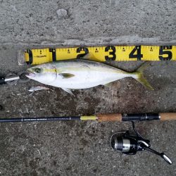 早朝プチsalt water game!