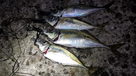 ジグ単アジング