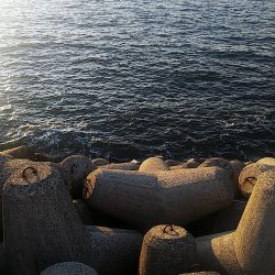 じあいでサゴシ連発!!