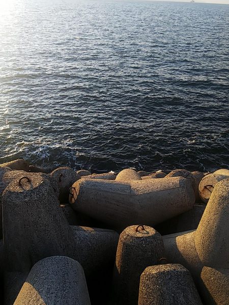 じあいでサゴシ連発!!