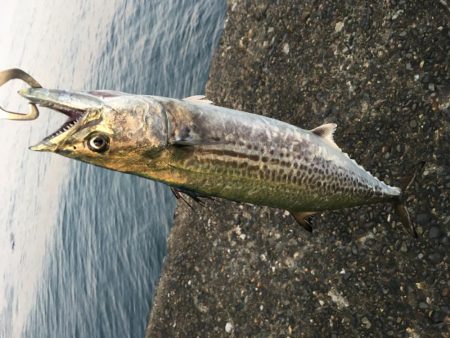 アジングからのショアジギ