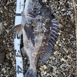 イチノ兄弟、釣果！