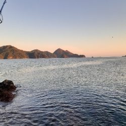 秋アオリイカ終盤