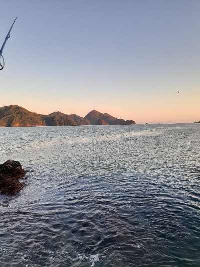 秋アオリイカ終盤