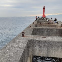 満を持して沖堤へ