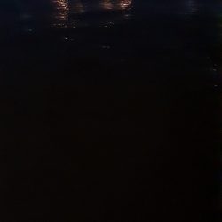 デカアジは絶好調