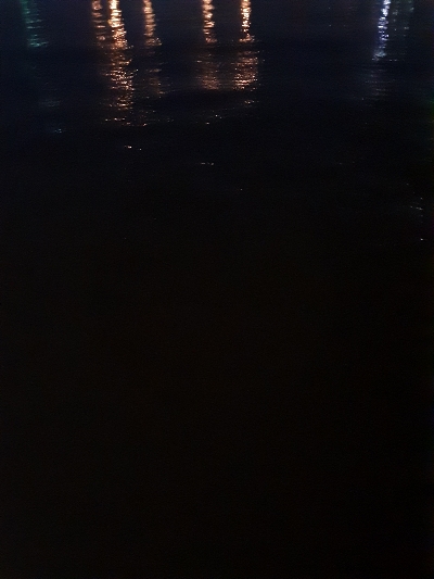 デカアジは絶好調