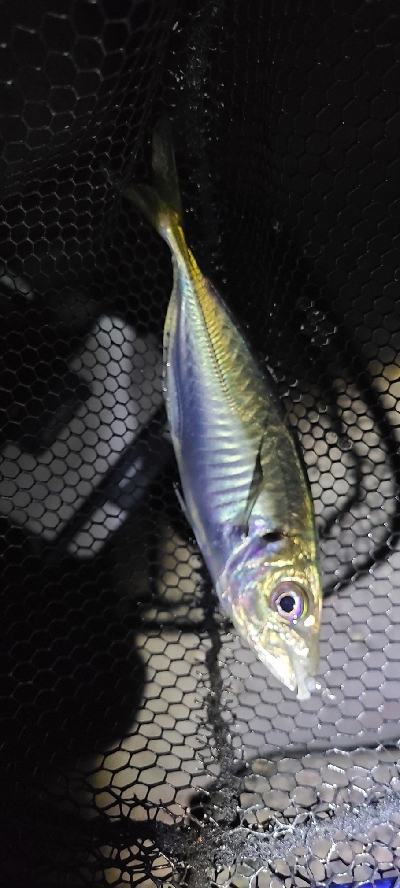 フロートアジング