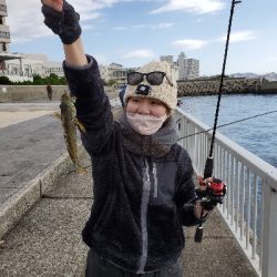 まさかのターゲット