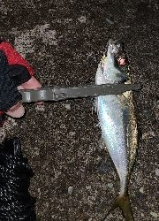 フロートアジング