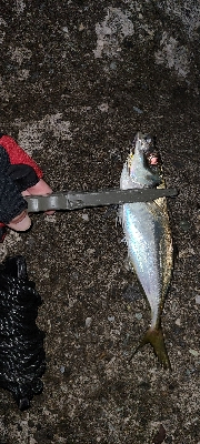 フロートアジング