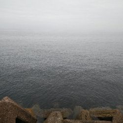 ついにツバスゲット。ついでにキスも