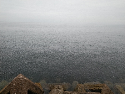 ついにツバスゲット。ついでにキスも