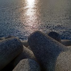 フォールでドン