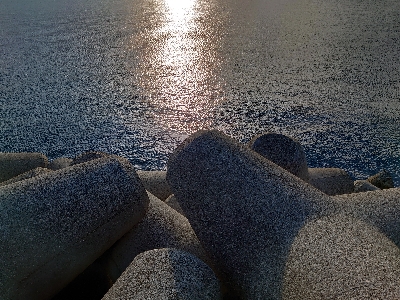 フォールでドン