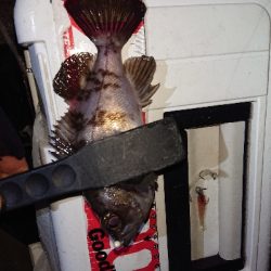 ライトゲーム楽しい