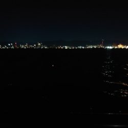 サバなんとか太刀魚