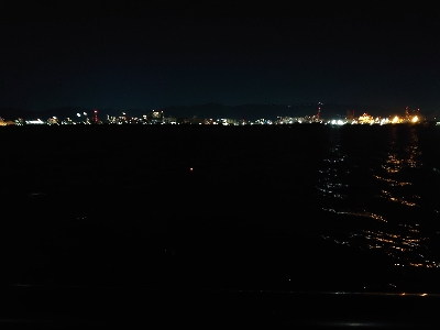 サバなんとか太刀魚