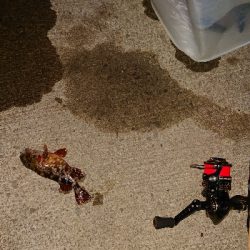 久しぶりにライトゲーム。