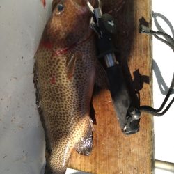 初スーパーライトジギング