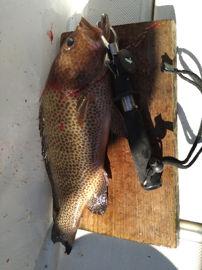 初スーパーライトジギング