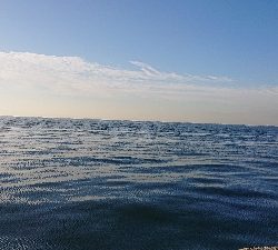 100均も釣れる(笑)