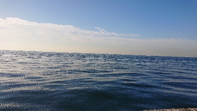 100均も釣れる(笑)