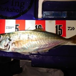 メッチャ引くで