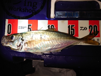 メッチャ引くで