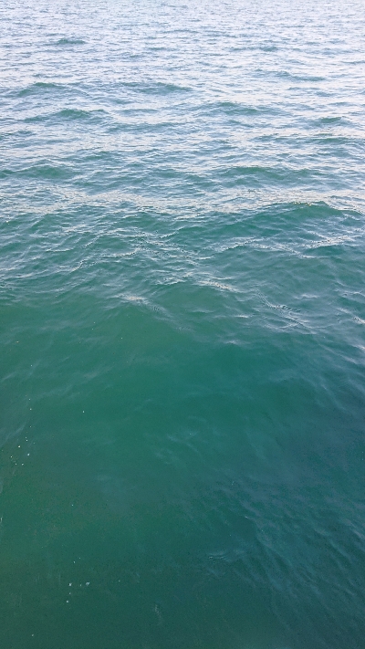 ボートエギング～のジギング！