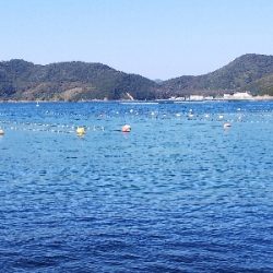 室津の投げ釣り