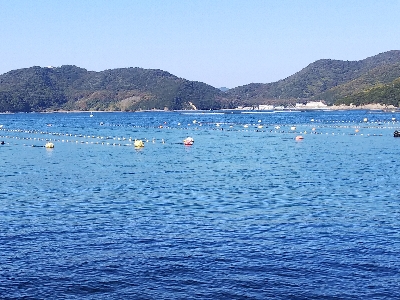 室津の投げ釣り