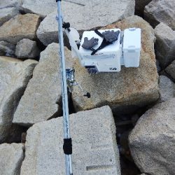 室津のキス釣り