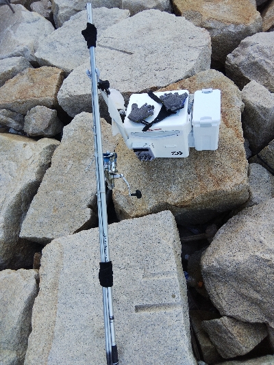 室津のキス釣り