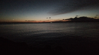 タチウオ偵察に