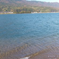 初のランカーサイズ