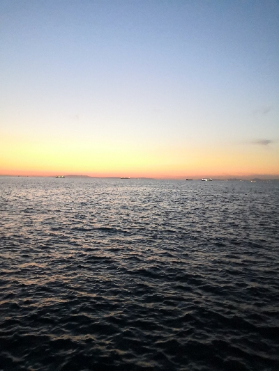 メーター超えのダツ