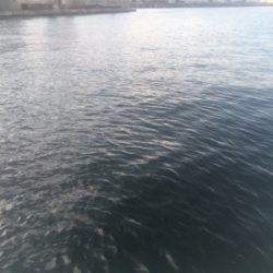 期日前投票を済ませてから