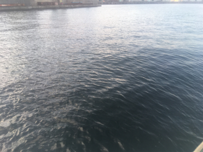 期日前投票を済ませてから