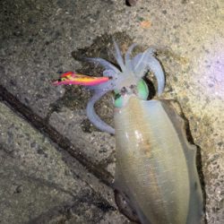 周りの人に感謝の１パイ