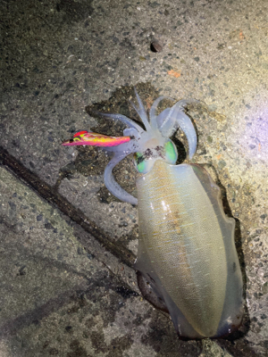 周りの人に感謝の１パイ