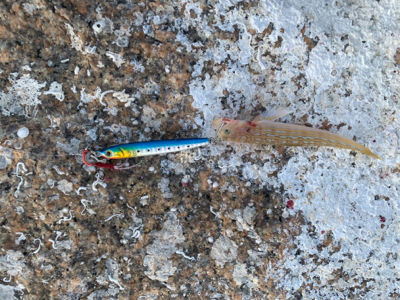 ジグパラスイムでメッキ