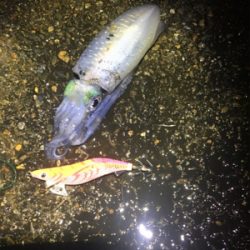 コウちゃんが食べたくて