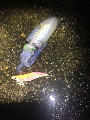 コウちゃんが食べたくて